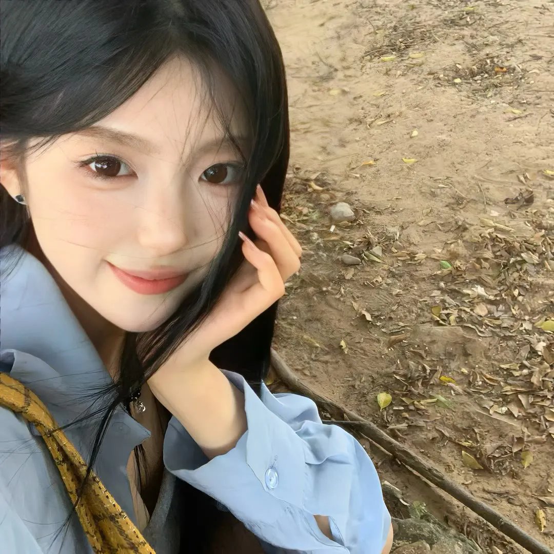 情网