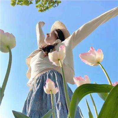 王朝的女人·杨贵妃